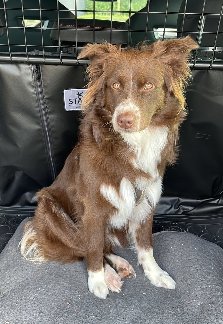 placeholder image-sq