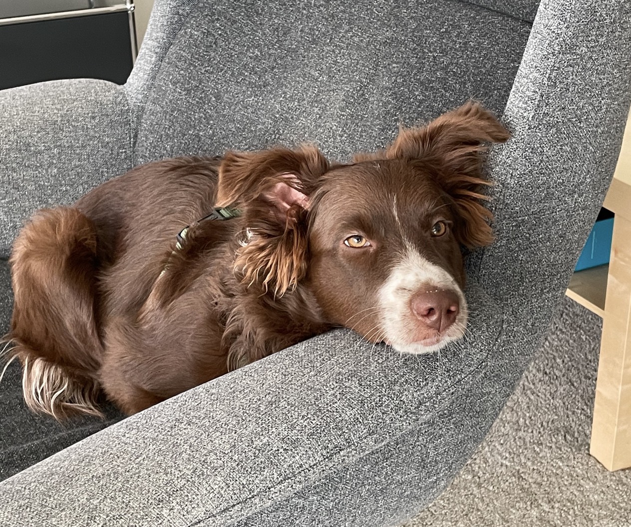 placeholder image-sq