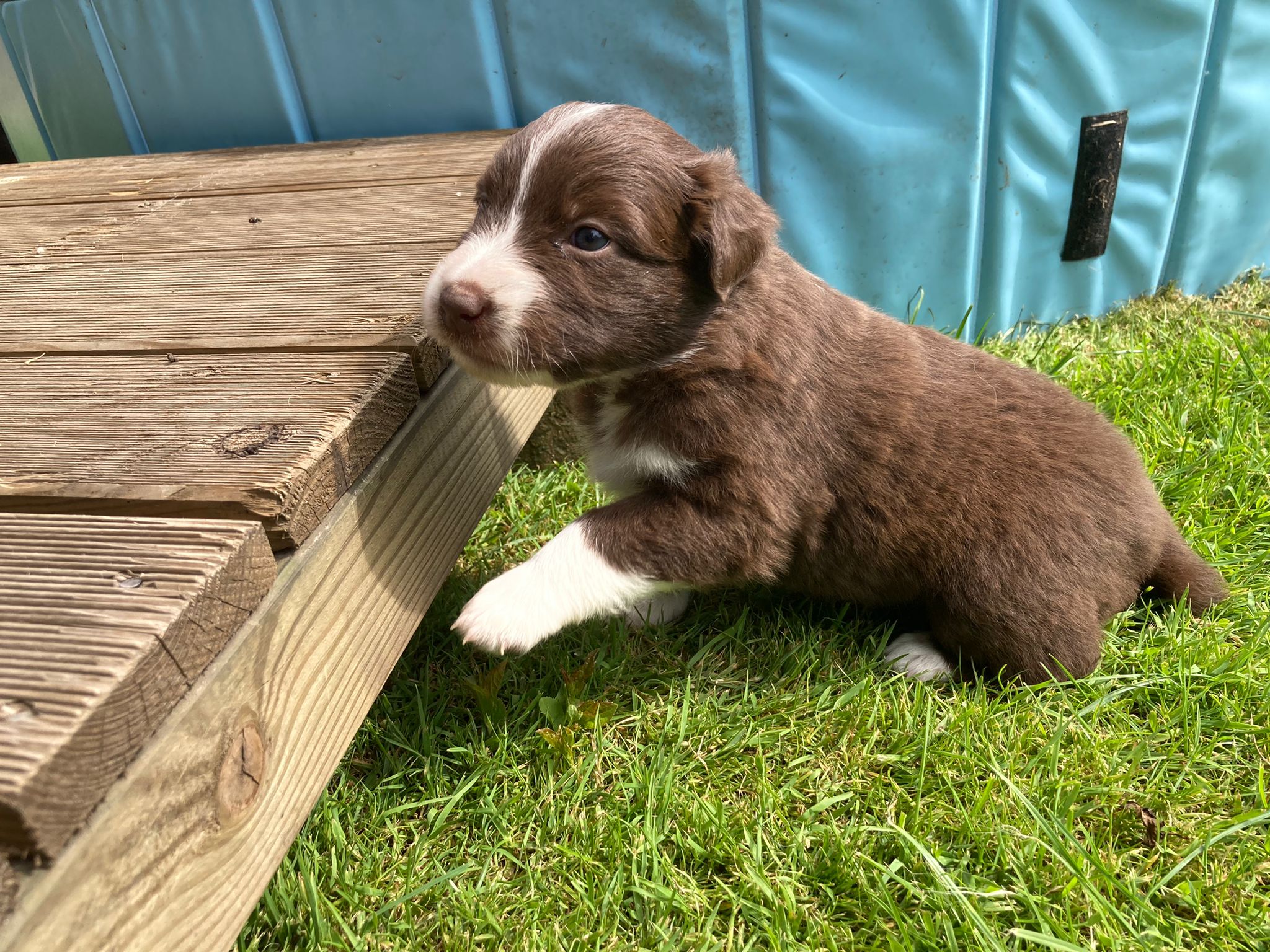 placeholder image-sq