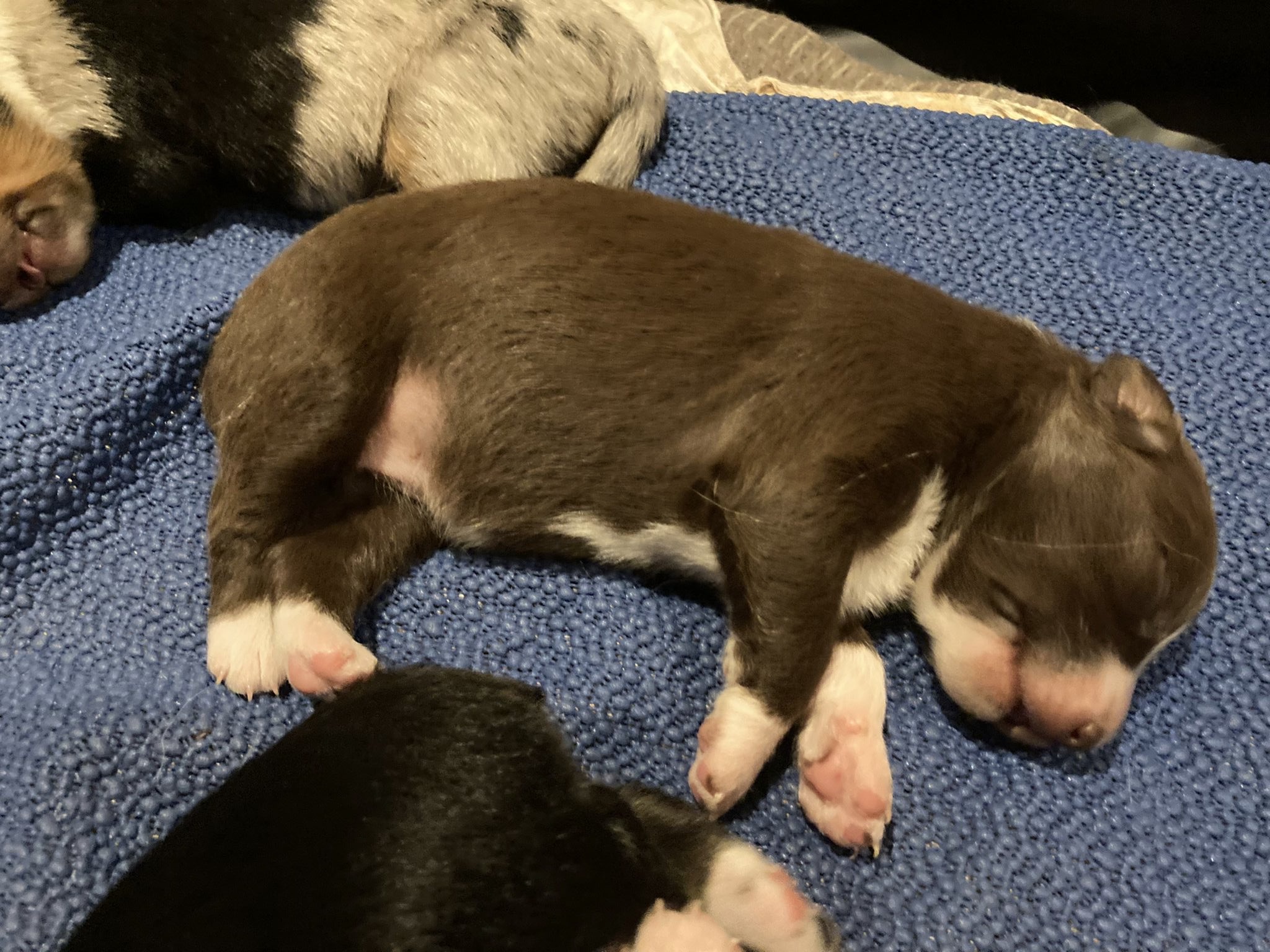 placeholder image-sq