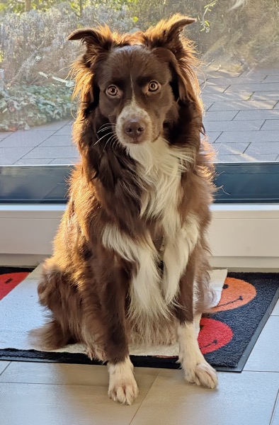 placeholder image-sq