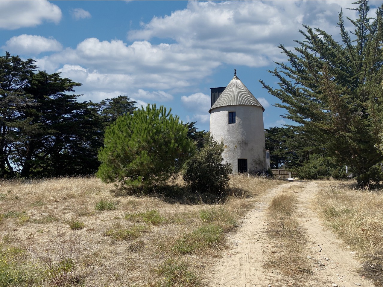 placeholder image-sq